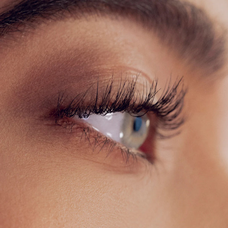 What You Need to Know About Your Eyelash Cycle